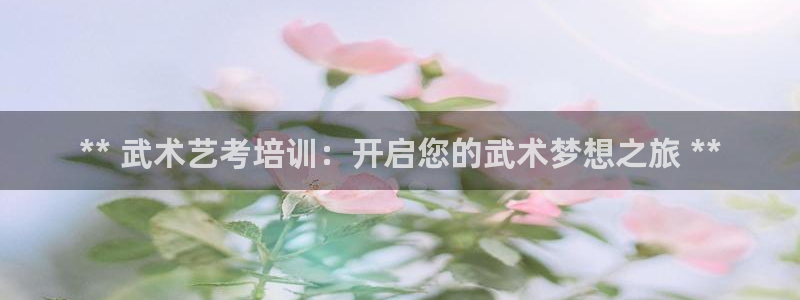 极悦官网：** 武术艺考培训：开启您的武术梦想之旅 