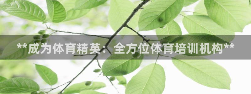 极悦平台官网入口网站：**成为体育精英：全方位体育培