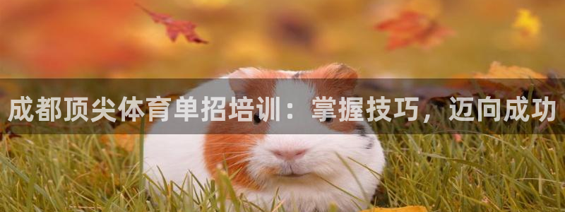 极悦平台客服团队介绍：成都顶尖体育单招培训：掌握技巧