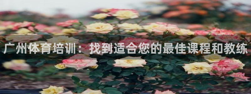极悦娱乐股东有哪些：广州体育培训：找到适合您的最佳课
