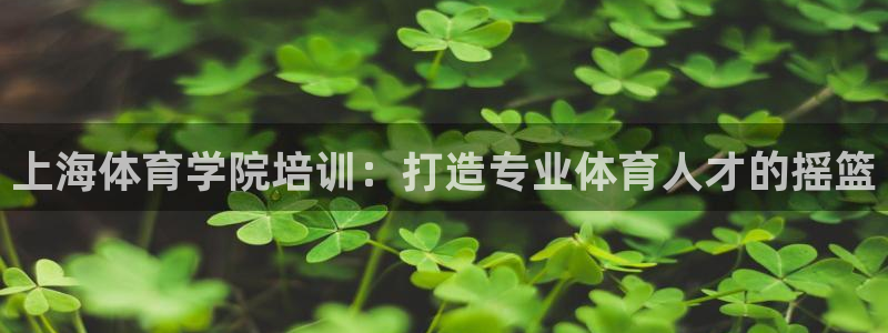 极悦官方网站入口网址：上海体育学院培训：打造专业体育