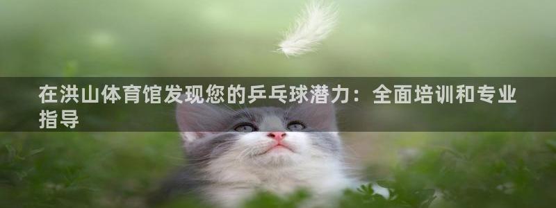 极悦平台登录方式怎么改：在洪山体育馆发现您的乒乓球潜