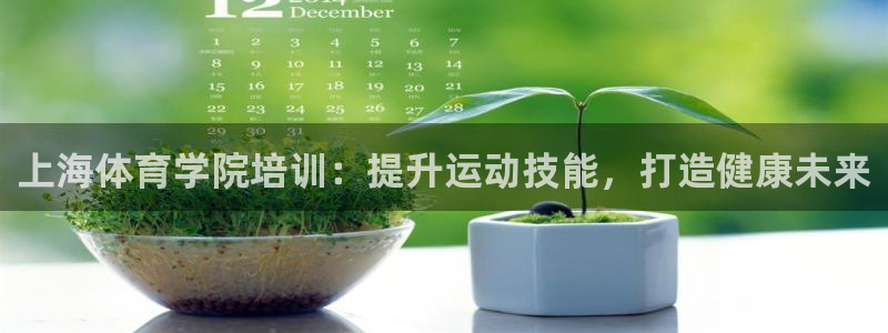 极悦平台官网登录：上海体育学院培训：提升运动技能，打