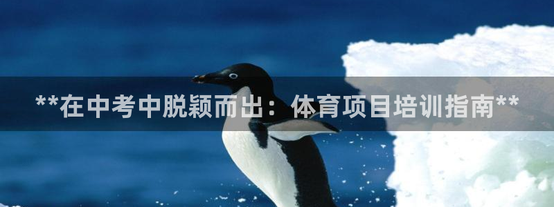 极悦官方网站入口网址是多少：**在中考中脱颖而出：体