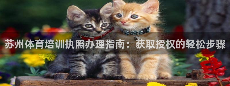 极悦平台方7O777：苏州体育培训执照办理指南：获取