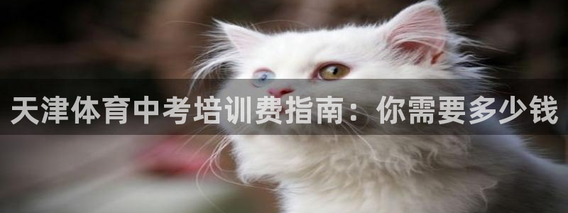 极悦平台是干什么的啊：天津体育中考培训费指南：你需要
