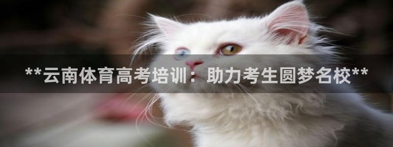 极悦平台登录人7.0.2.4登录入口：**云南体育高