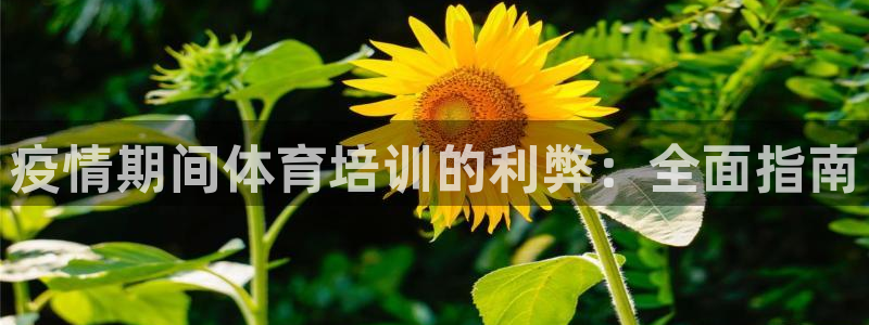 极悦平台网址皮皮虾：疫情期间体育培训的利弊：全面指南