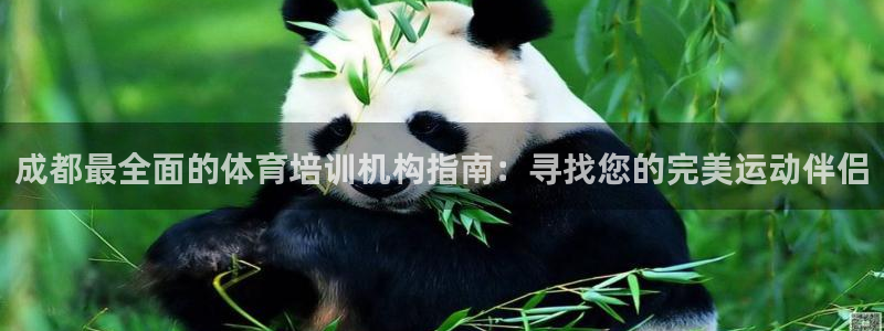 极悦平台登录入口注册账号：成都最全面的体育培训机构指