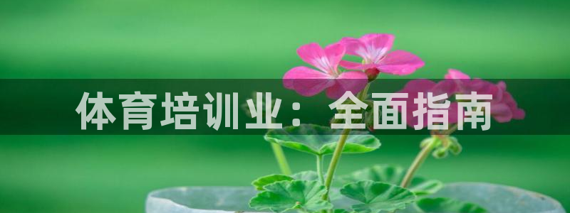 极悦平台登录人7.0.2.4登录入口：体育培训业：全