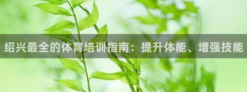 极悦娱乐代理：绍兴最全的体育培训指南：提升体能、增强