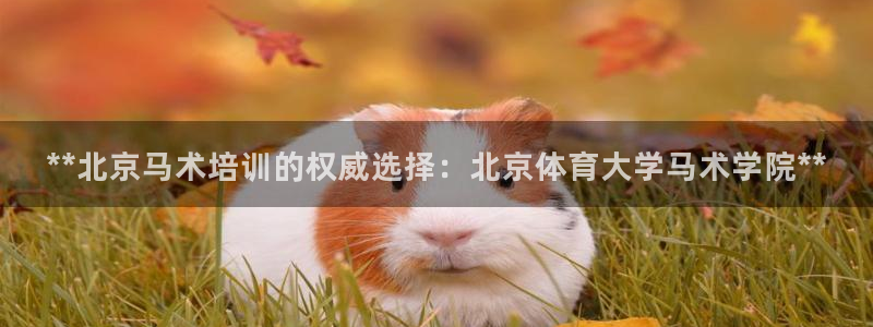 极悦娱乐最新版本更新内容介绍：**北京马术培训的权威