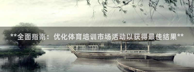 极悦平台注册流程：**全面指南：优化体育培训市场活动