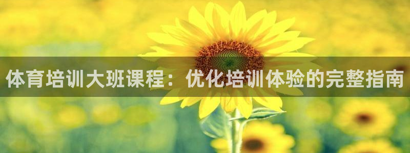 极悦平台代理怎么做赚钱：体育培训大班课程：优化培训体