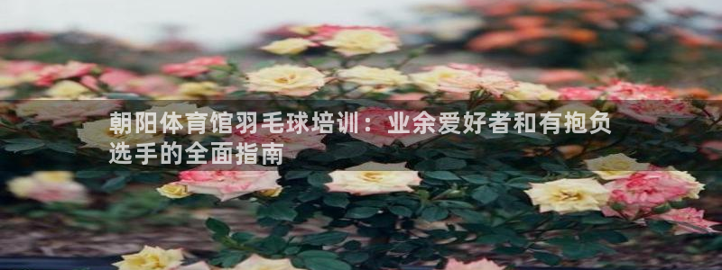 极悦平台告7O777：朝阳体育馆羽毛球培训：业余爱好