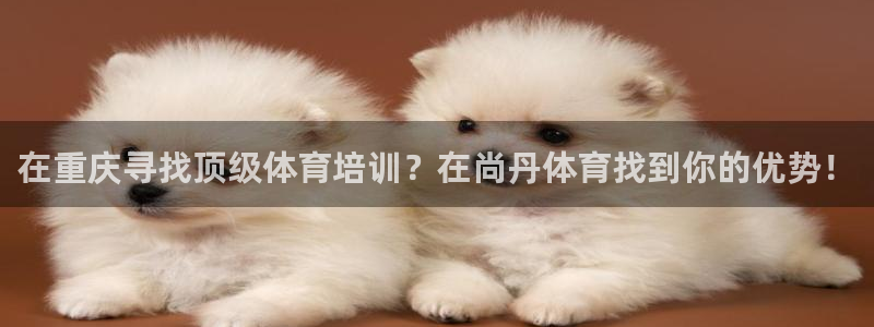 极悦平台登录好7.0.2.4安装：在重庆寻找顶级体育