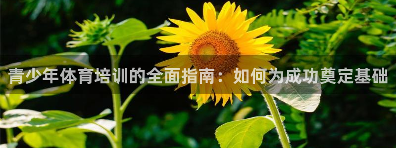 极悦娱乐会被骗吗是真的吗：青少年体育培训的全面指南：