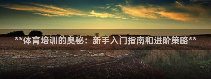 极悦平台保7O777：**体育培训的奥秘：新手入门指