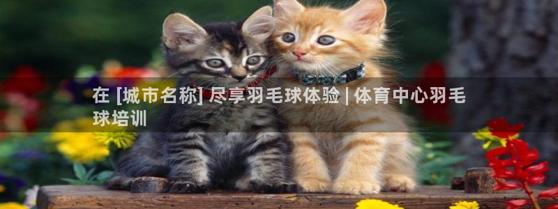 极悦平台是正规平台吗安全吗是真的吗：在 [城市名称]