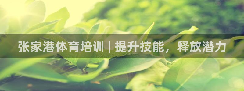 极悦娱乐代理多少钱一个月：张家港体育培训 | 提升技