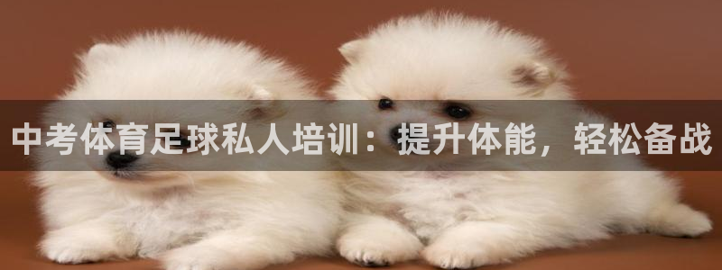 极悦平台下载安装：中考体育足球私人培训：提升体能，轻