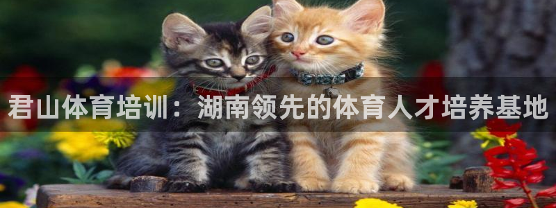 极悦娱乐创始人背景故事：君山体育培训：湖南领先的体育