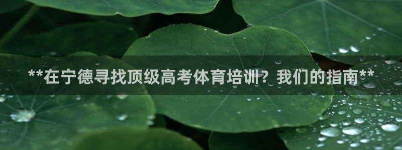 加盟极悦教育多少钱：**在宁德寻找顶级高考体育培训？