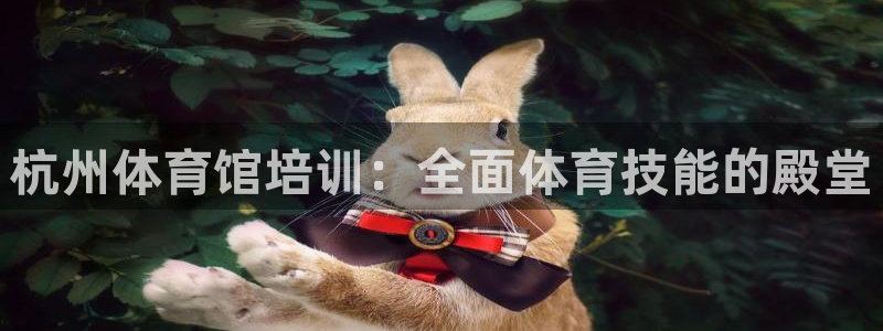 极悦娱乐挂机赚钱是真的吗吗：杭州体育馆培训：全面体育