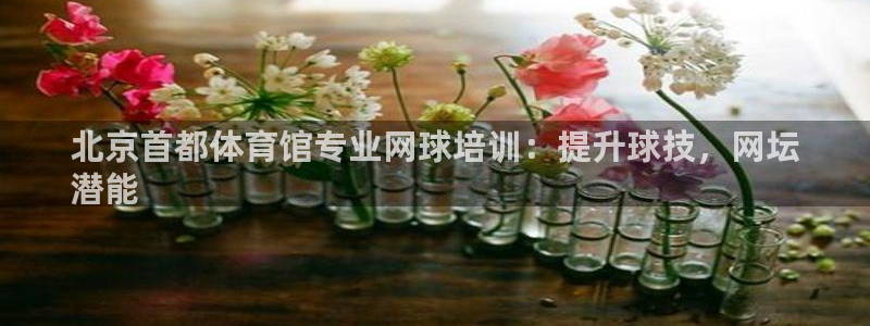 极悦平台登录7.0.2.4手机版下载安装：北京首都体