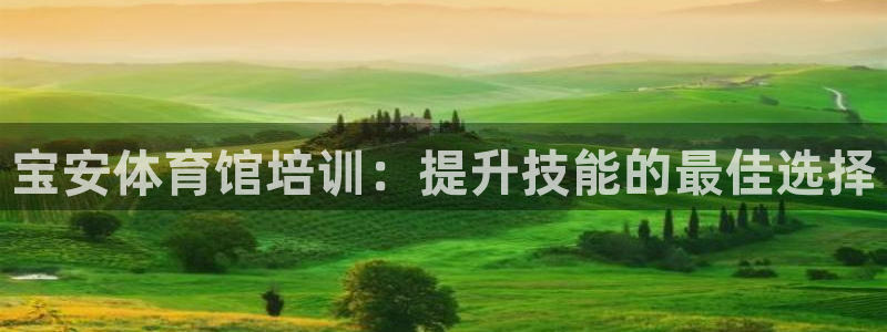极悦平台官网下载中心app：宝安体育馆培训：提升技能
