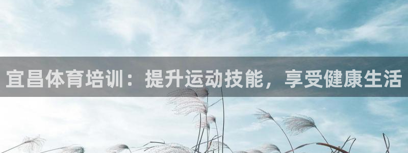 极悦娱乐代理怎么样啊：宜昌体育培训：提升运动技能，享