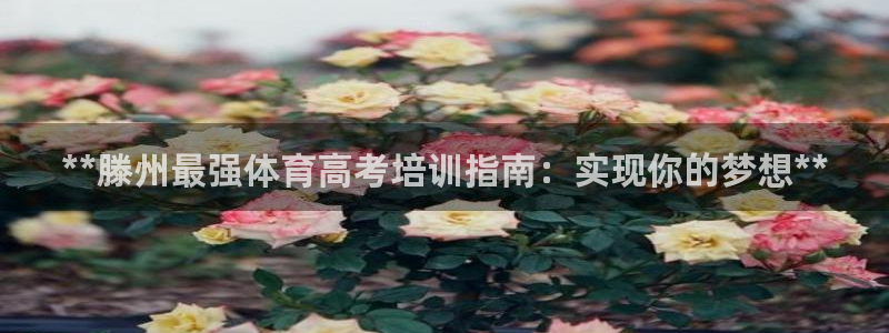 极悦平台下载安装：**滕州最强体育高考培训指南：实现