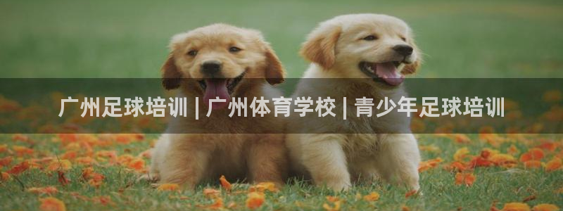 极悦平台官方网站登录网址：广州足球培训 | 广州体育