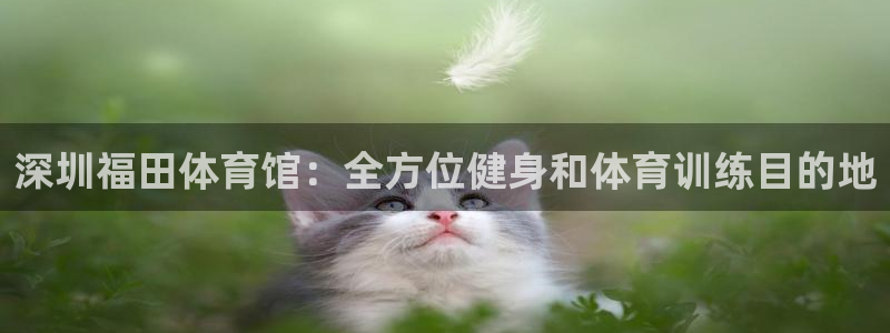 极悦娱乐官网最新版本更新内容下载：深圳福田体育馆：全