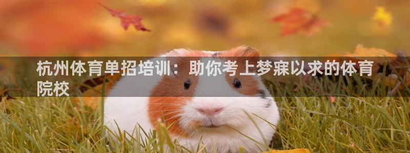 极悦平台注册用户名格式错误：杭州体育单招培训：助你考