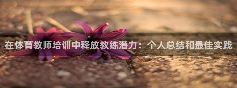 极悦平台和蓝狮平台区别在哪：在体育教师培训中释放教练