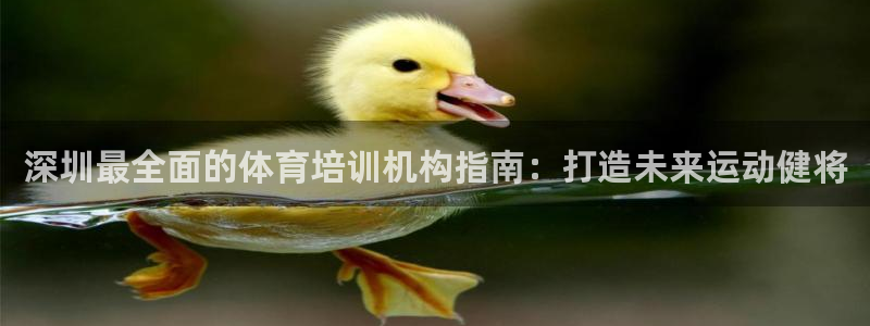 极悦平台与网易合作详情：深圳最全面的体育培训机构指南