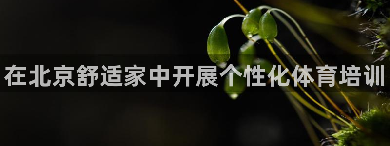 极悦平台注册用户名生成器是什么：在北京舒适家中开展个