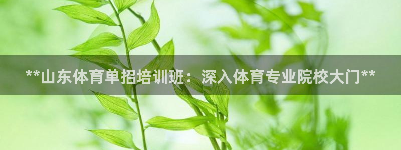极悦娱乐官网最新版本更新内容：**山东体育单招培训班