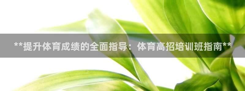 极悦平台用户评价怎么样：**提升体育成绩的全面指导：