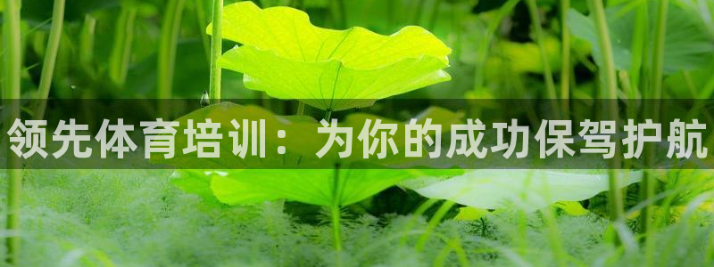 极悦娱乐会被骗吗